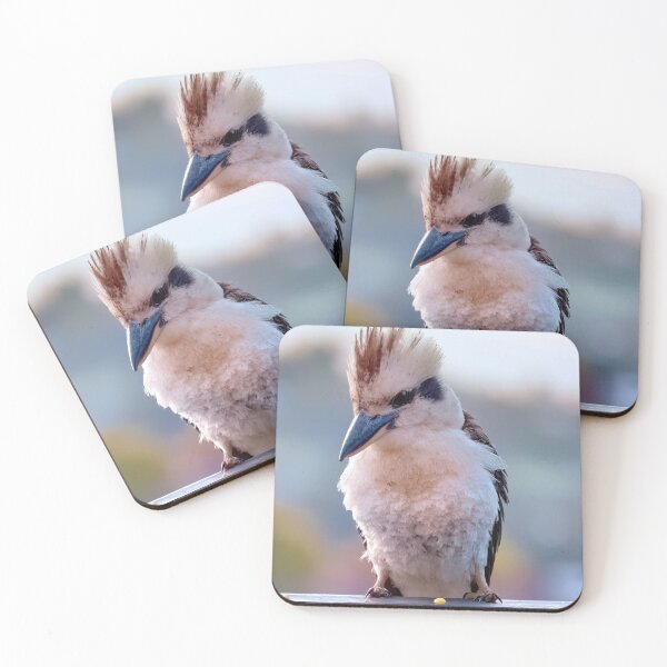 Artikelvorschau, Australische Kookaburra 186 entworfen und verkauft von kevin Chippindall.