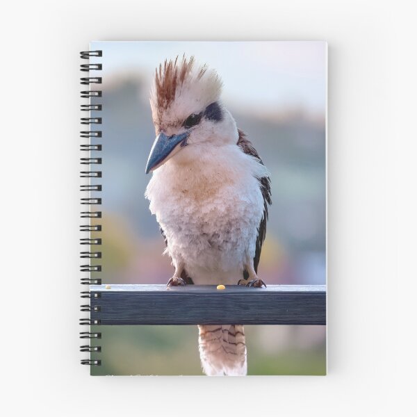 Item preview, Australian kookaburra 186 designed and sold by kevin Chippindall.