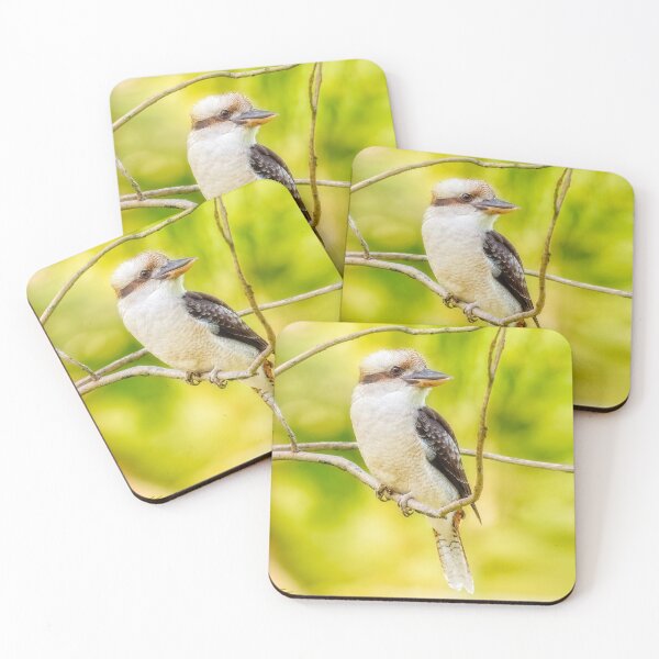 Item preview, Kookaburra, Yanchep National Park, Perth, Western Australia designed and sold by Dave Catley.