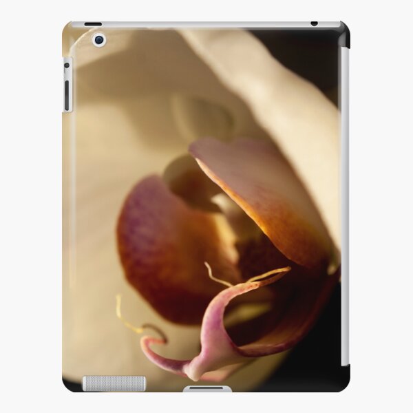 Orchid in Evening Sunlight iPad Snap Case