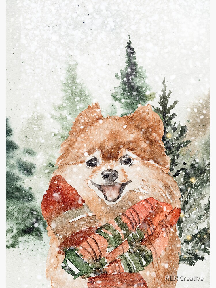 Cute Pomeranian enjoying a Winter Wonderland by rereynoso