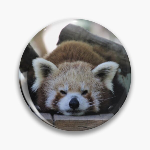 Item preview, Red Panda mood designed and sold by Selah Images.