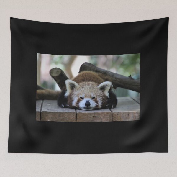 Item preview, Red Panda mood designed and sold by Selah Images.
