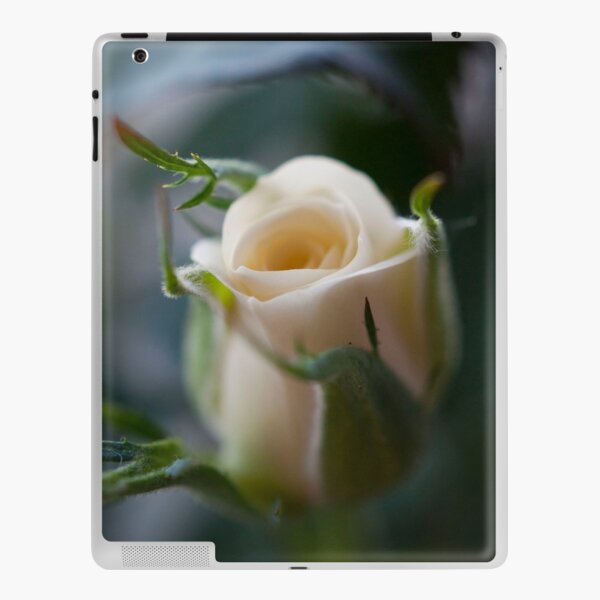 White Rose iPad Skin