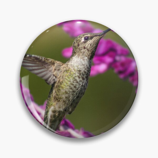 Artikelvorschau, Hummingbird's View entworfen und verkauft von PsychoAlien.com.