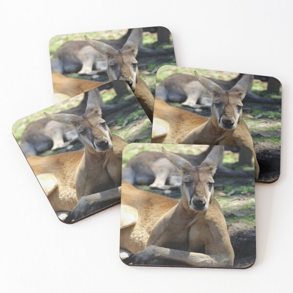 Item preview, Roo Flex designed and sold by Selah Images.