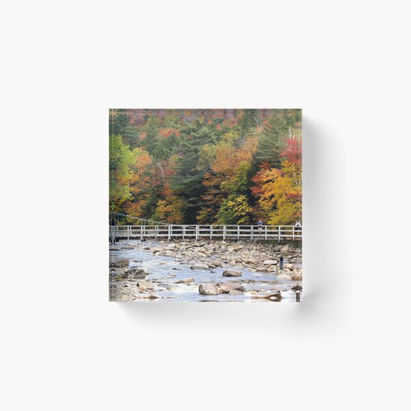 Item preview, New Hampshire Fall Colors designed and sold by dgsoregon.
