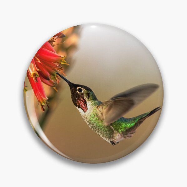 Artikelvorschau, Hummingbird's Aloe Flower entworfen und verkauft von PsychoAlien.com.