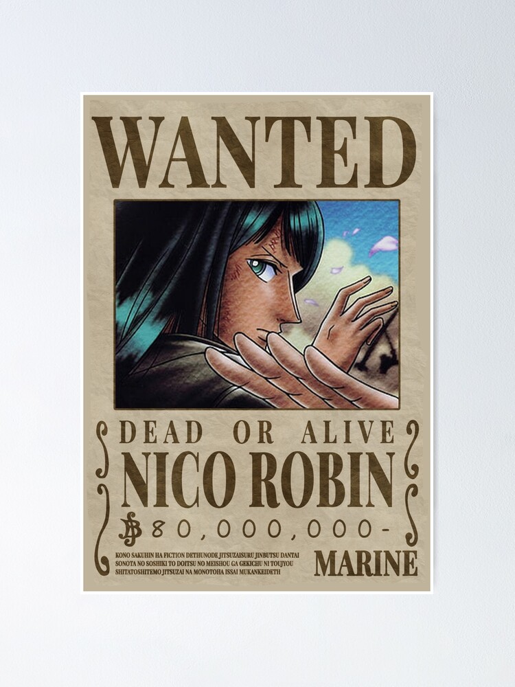 one piece wanted poster