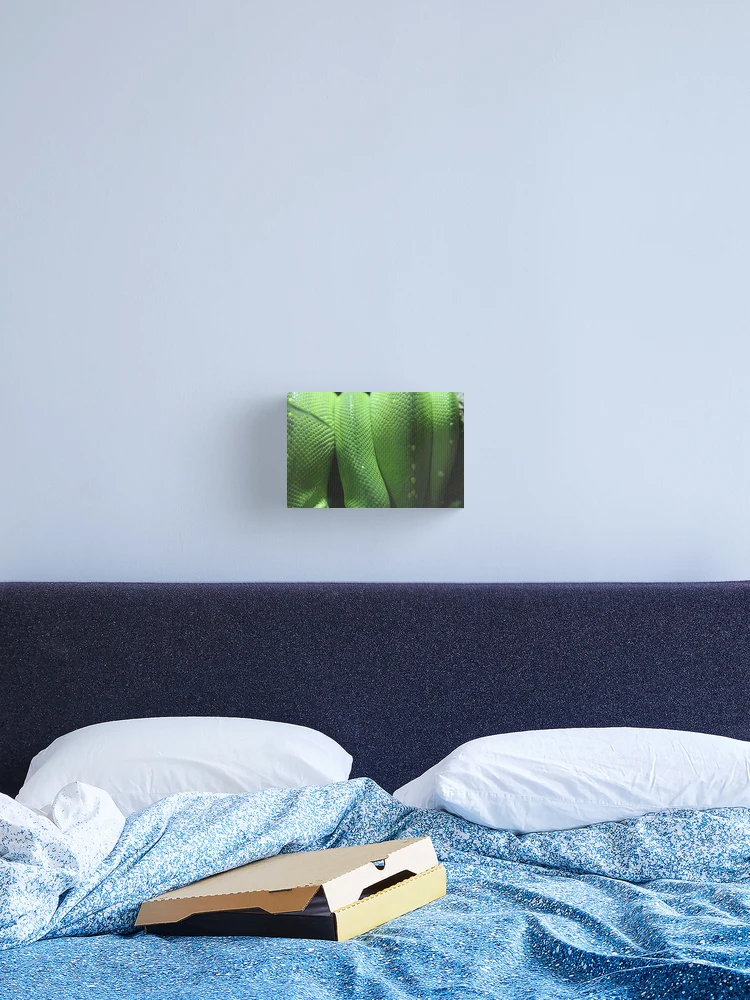 Thumbnail 2 of 3, Canvas Print, GreenTreePythonScales designed and sold by EmmaCoops.
