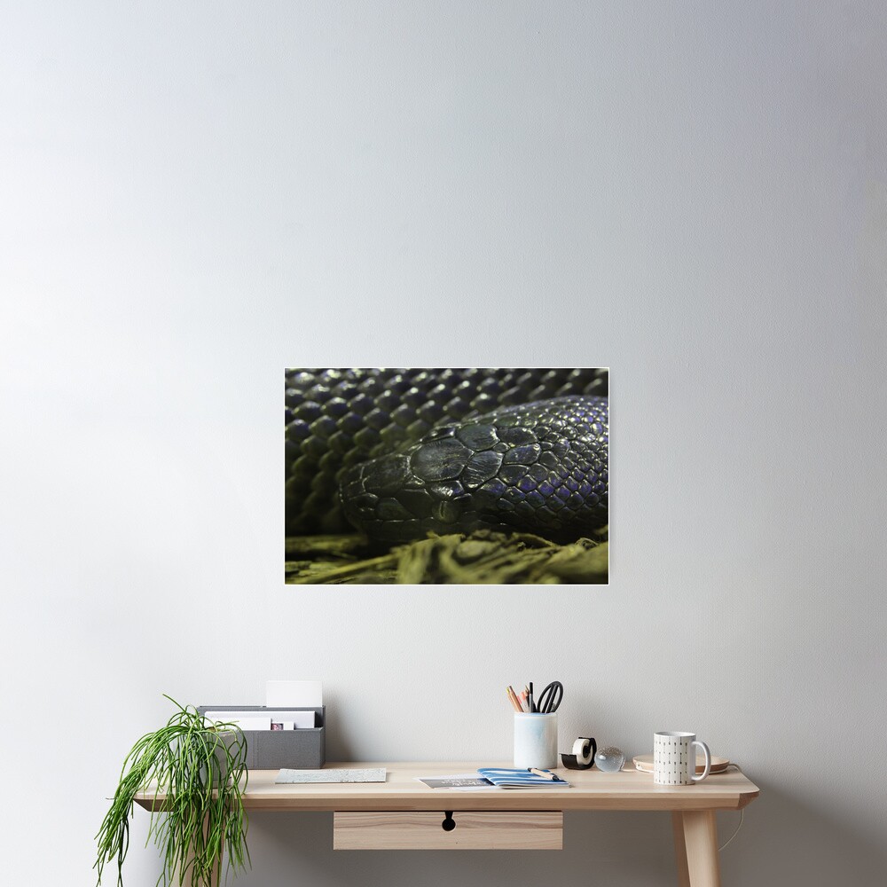 Item preview, Poster designed and sold by EmmaCoops.