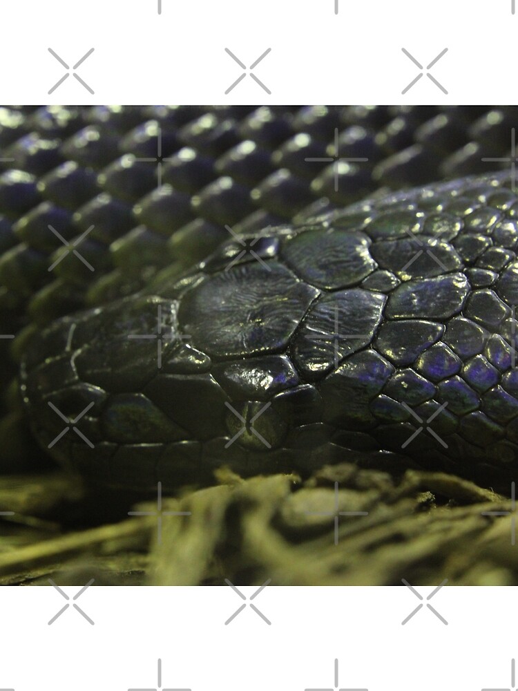 Thumbnail 3 of 3, Scarf, Water Python designed and sold by EmmaCoops.