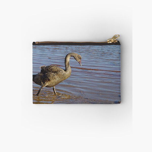 Item preview, Cygnet designed and sold by Paul Chubb.