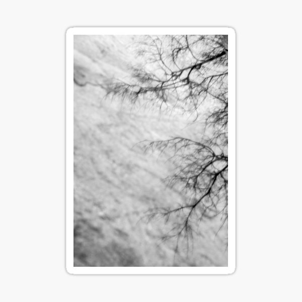 photographism#3 Sticker