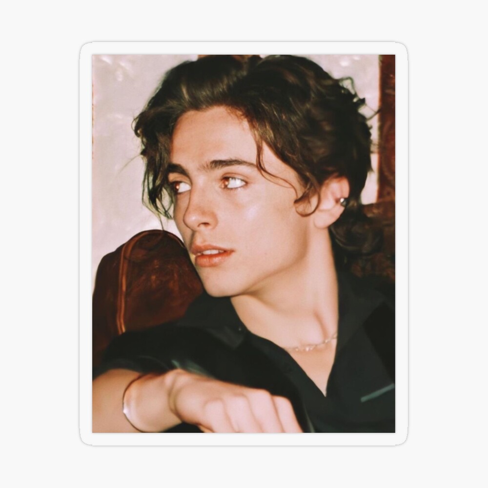 Timothee Chalamet iPad Case & Skin for Sale by halixoxo