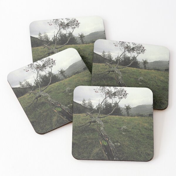 Item preview, Lone Tree at Blea Tarn. designed and sold by Billlee.