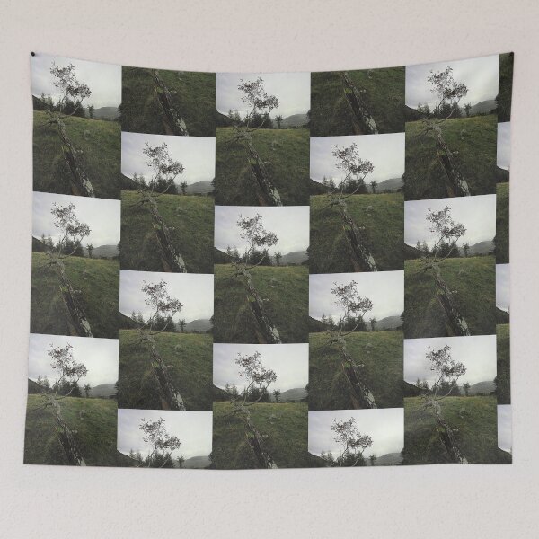 Item preview, Lone Tree at Blea Tarn. designed and sold by Billlee.