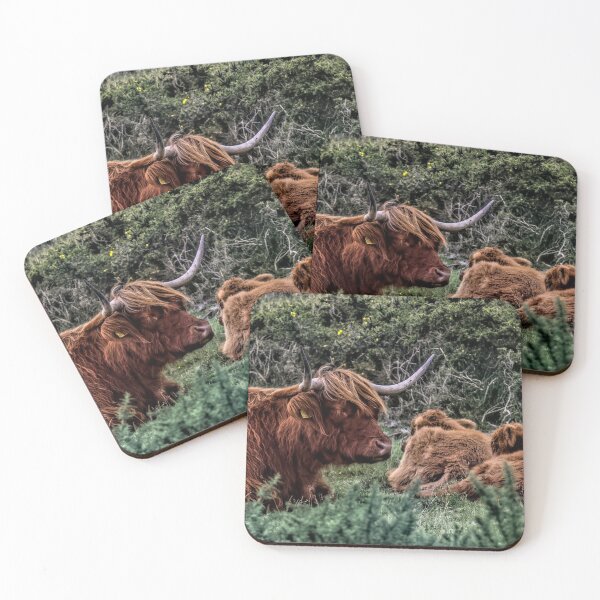 Item preview, Dartmoor Highland Long Horned Cattle designed and sold by Avril Harris.