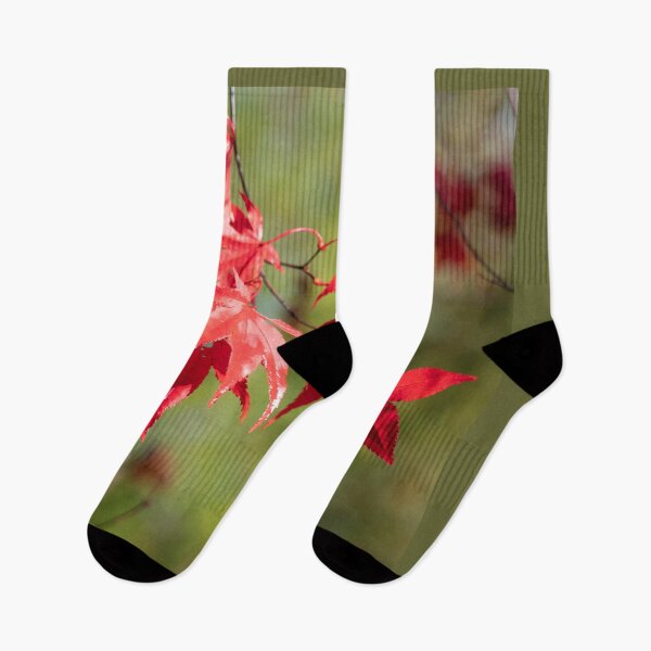 Item preview, Red Acer Leaves designed and sold by hawkie.