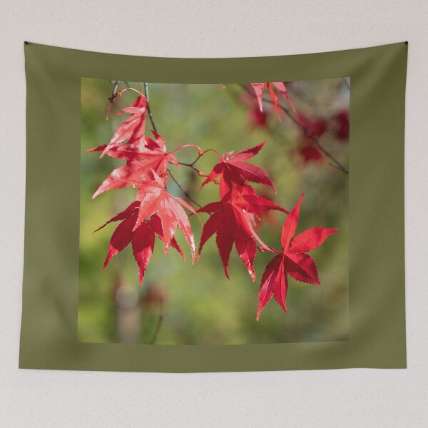 Item preview, Red Acer Leaves designed and sold by hawkie.