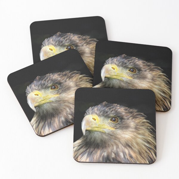 Item preview, Tawny Eagle designed and sold by Avril Harris.