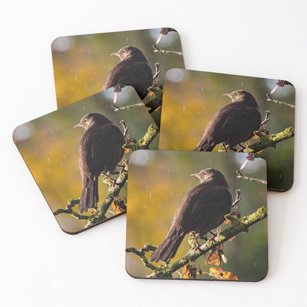 Item preview, Black bird in autumn showers  designed and sold by widdy170.