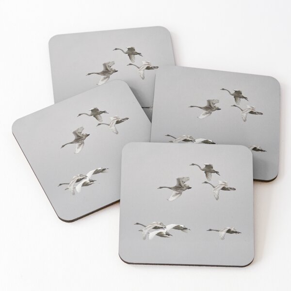 Item preview, The kids just always fool around. Whooper swans designed and sold by Jouko Lehto Photography.