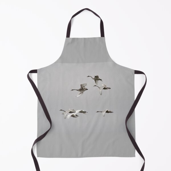 Item preview, The kids just always fool around. Whooper swans designed and sold by Jouko Lehto Photography.