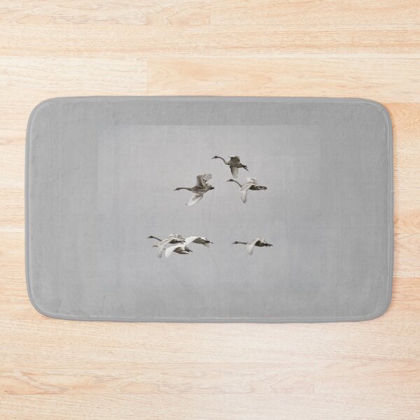 Item preview, The kids just always fool around. Whooper swans designed and sold by Jouko Lehto Photography.