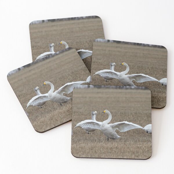 Item preview, Believe me It was this big. Whooper swans designed and sold by Jouko Lehto Photography.