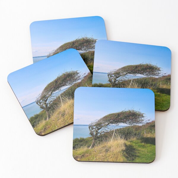Item preview, Which way the wind blows.. designed and sold by ronsaunders47.
