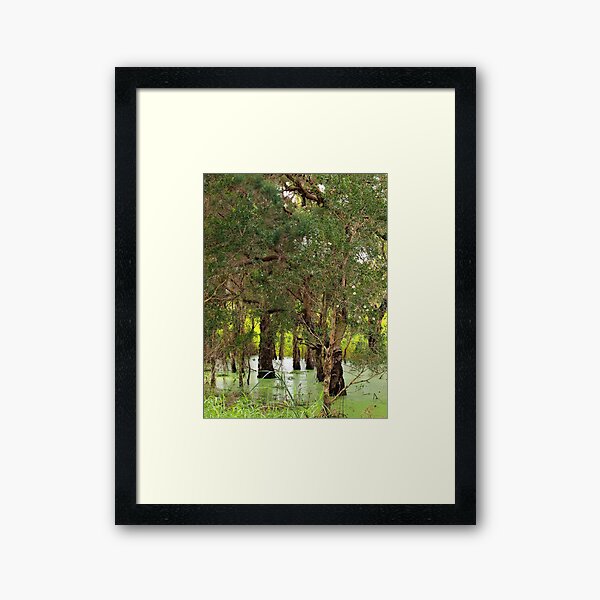 Item preview, Paper Bark Wetlands  designed and sold by W E NIXON  PHOTOGRAPHY.