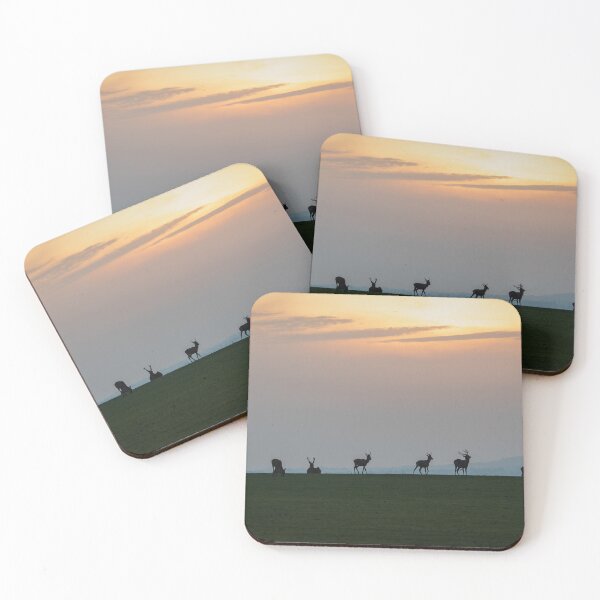 Item preview, Stags at Sunset designed and sold by Steve Liptrot Photography.