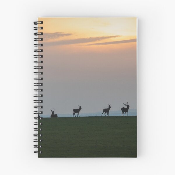 Item preview, Stags at Sunset designed and sold by Steve Liptrot Photography.