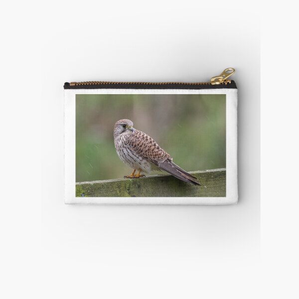 Item preview, Common kestrel (Falco tinnunculus) designed and sold by Steve Liptrot Photography.