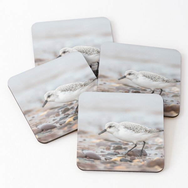 Item preview, Sanderling (Calidris alba) designed and sold by Steve Liptrot Photography.