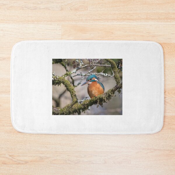 Item preview, Common kingfisher (Alcedo atthis) designed and sold by Steve Liptrot Photography.