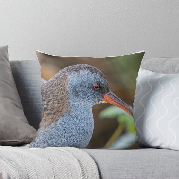 Item preview, Water rail portrait designed and sold by Steve Liptrot Photography.