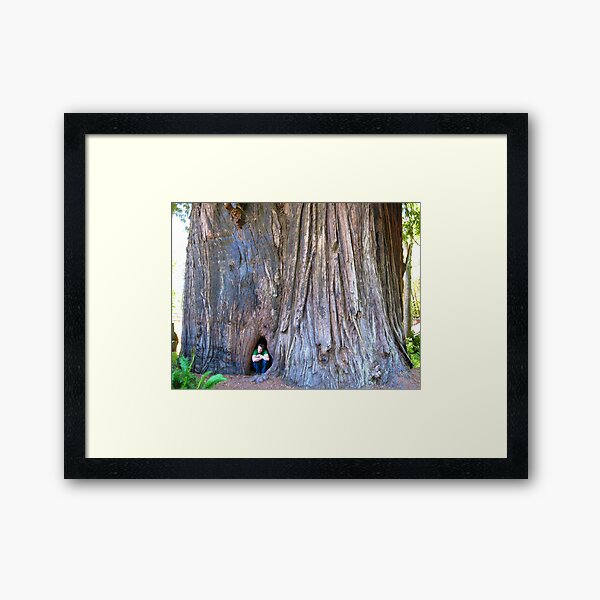 Item preview, Redwood designed and sold by nakamitsud.