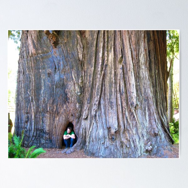 Item preview, Redwood designed and sold by nakamitsud.
