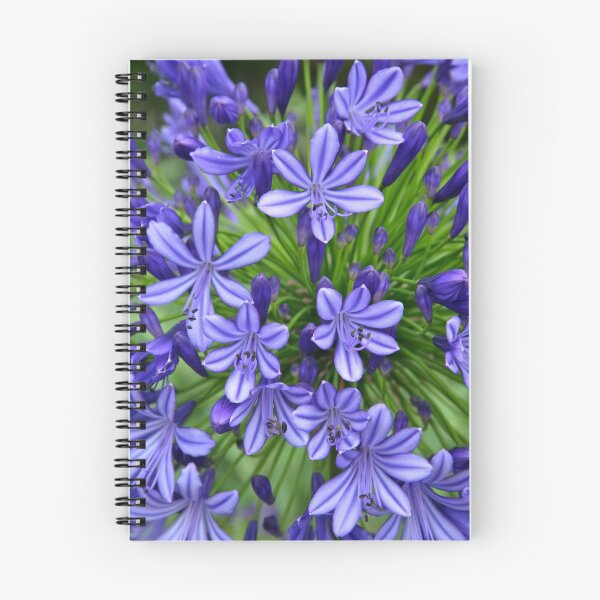 Item preview, Agapanthus (portrait) designed and sold by jmwilesphotos.