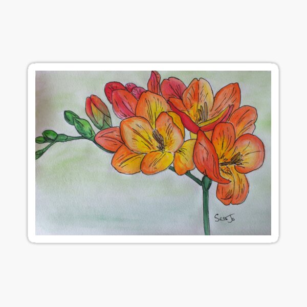 Freesia Sticker