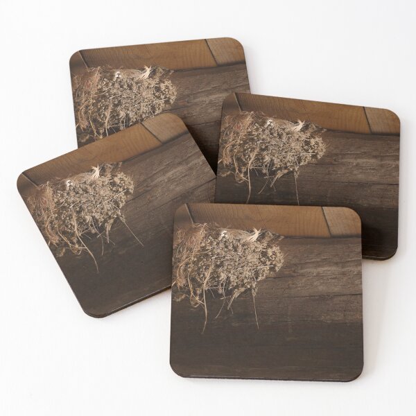 Item preview, The empty nest designed and sold by Paul Pasco.