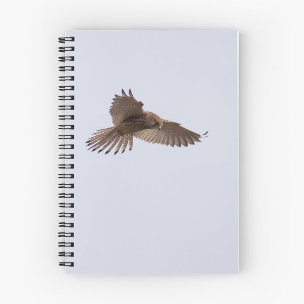 Item preview, Kestrel designed and sold by Robert Carr.