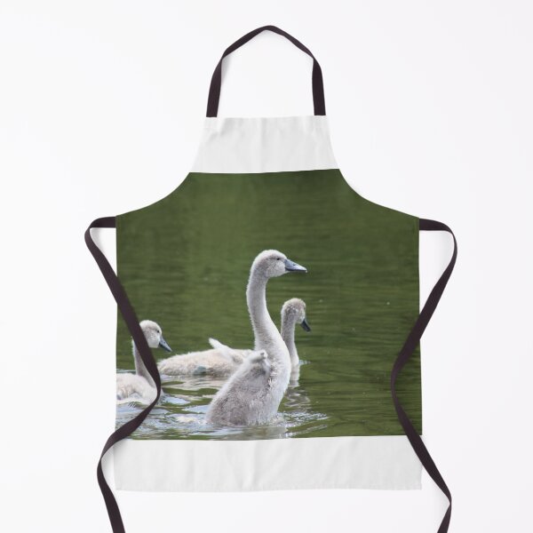 Item preview, Three cygnets on pond water designed and sold by Gaynor-dI.
