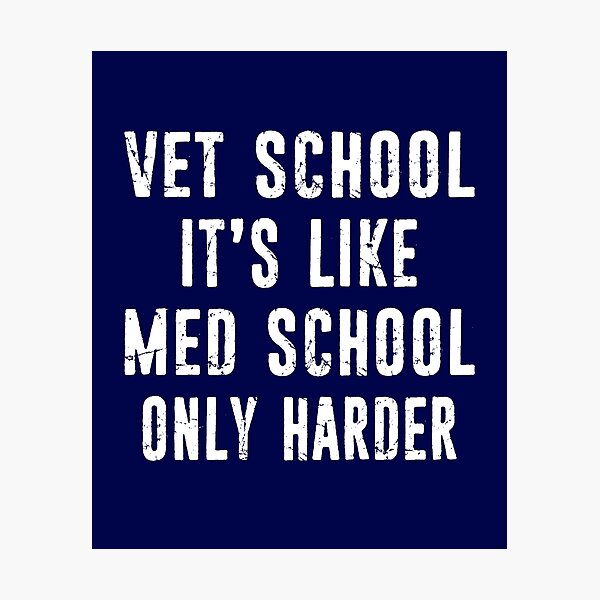 Artikelvorschau, Vet School Funny Veterinarian Gift Distreseed Typografie entworfen und verkauft von niftee.