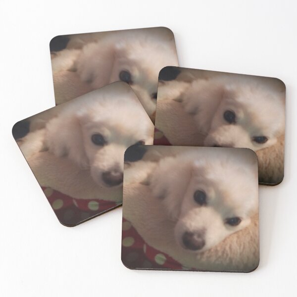 Item preview, Lovely resting dog designed and sold by Rowland Glaysher.