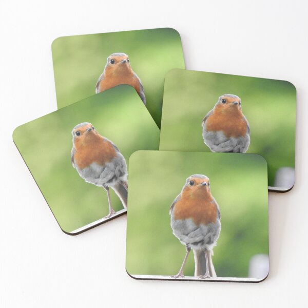 Item preview, Robin red breast with green background designed and sold by Gaynor-dI.