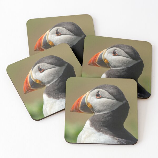 Skomer Puffin Coasters (Set of 4)