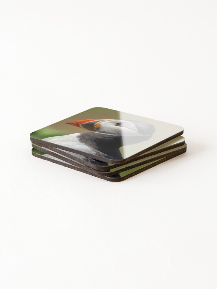 Alternate view of Skomer Puffin Coasters (Set of 4)